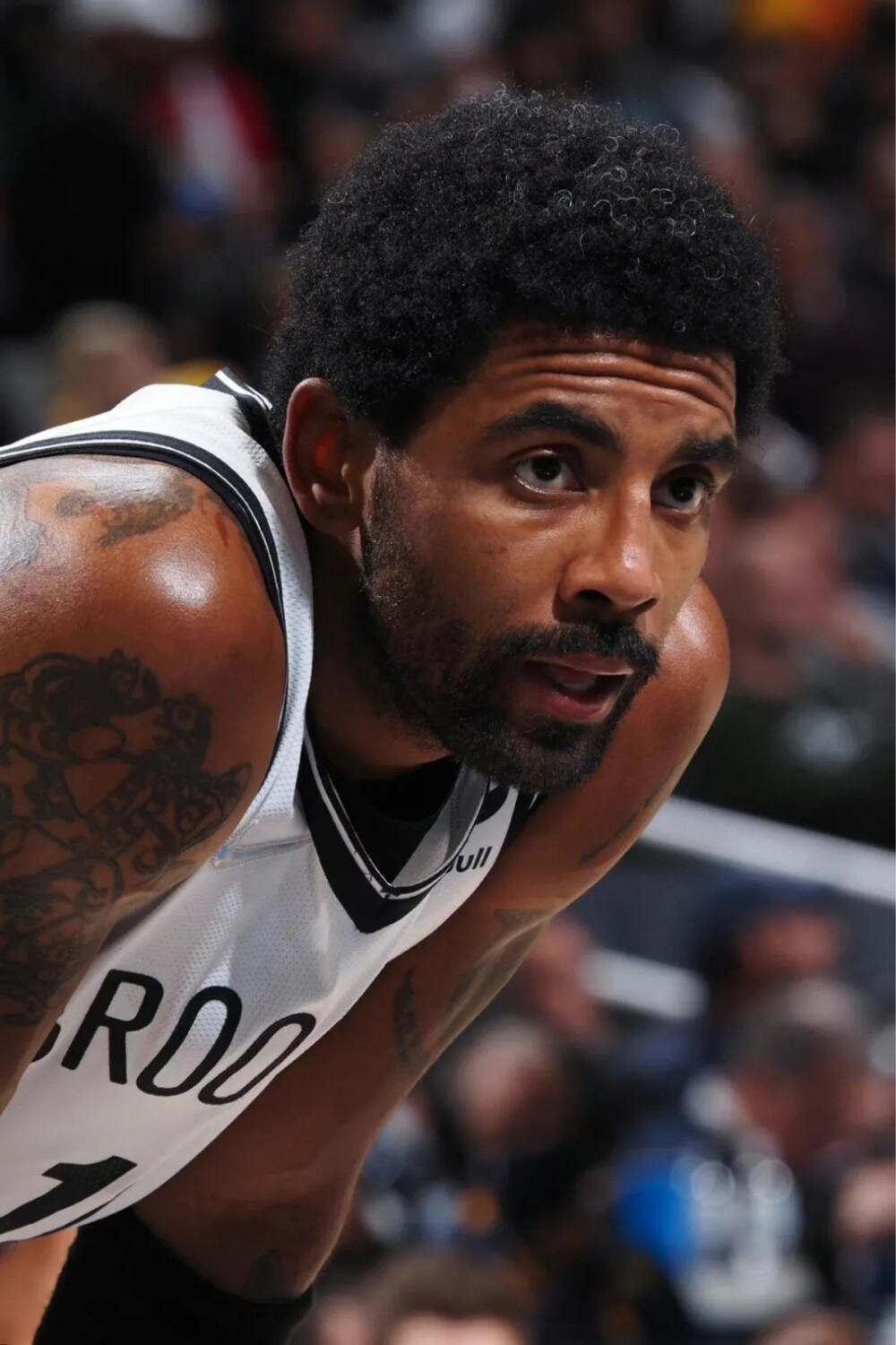 本文将带您 本文将带您