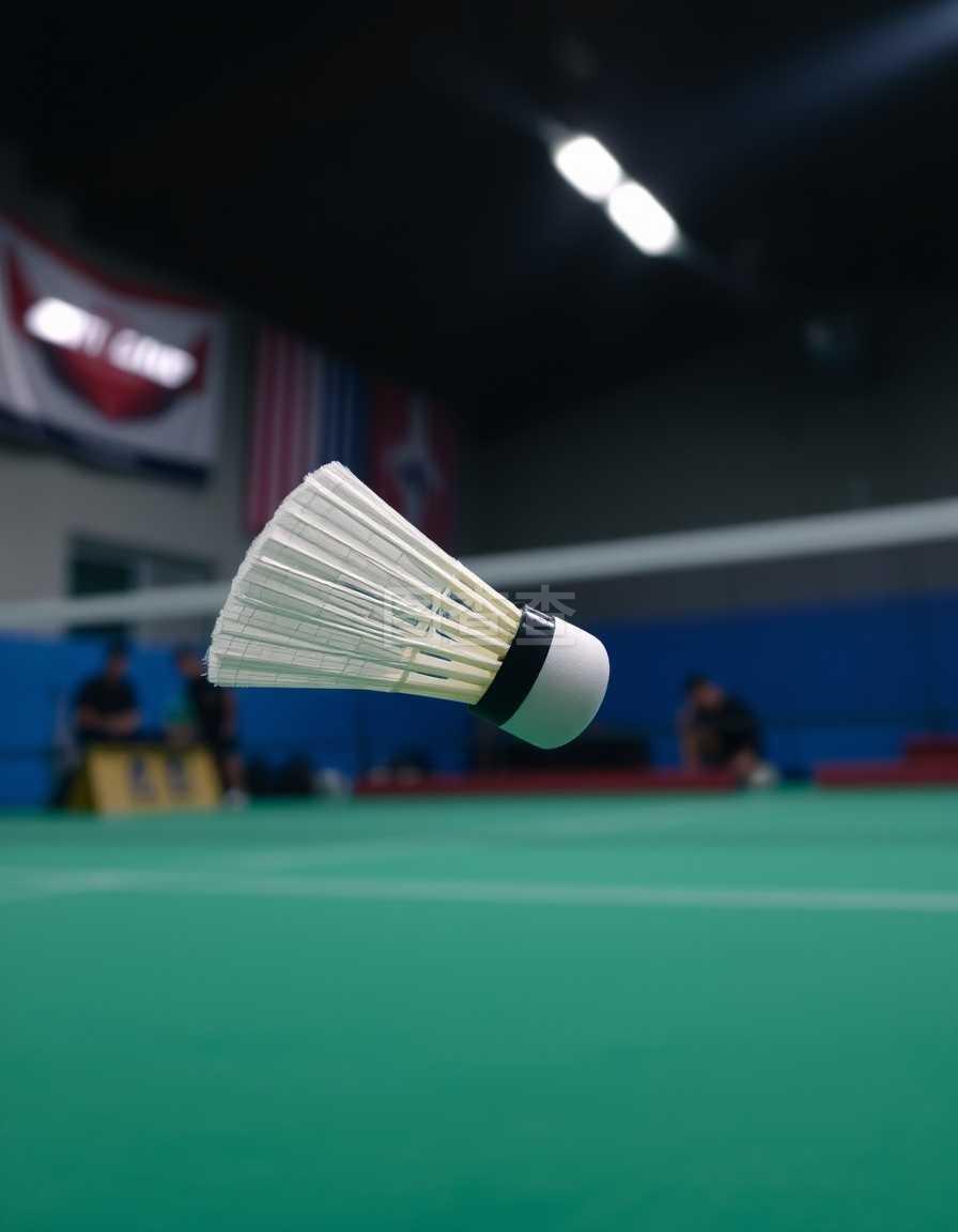 机不佳造成 机不佳造成